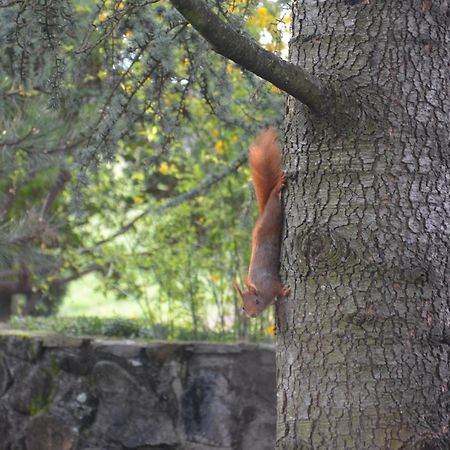 Domaine Insolite du Petit Moras Chomérac Extérieur photo